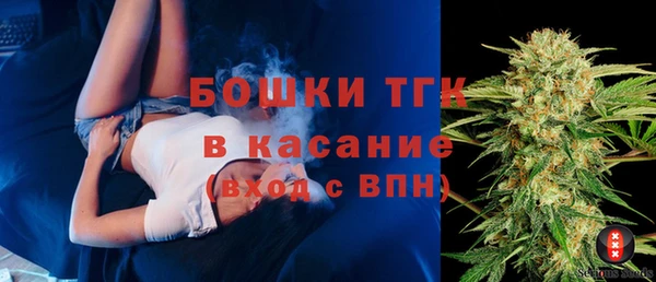мдпв Надым