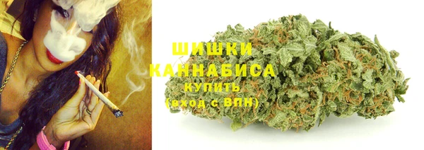 мдпв Надым