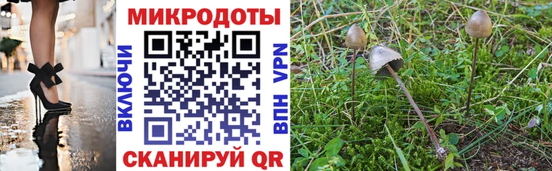 kraken рабочий сайт  Пятигорск  Псилоцибиновые грибы Cubensis 