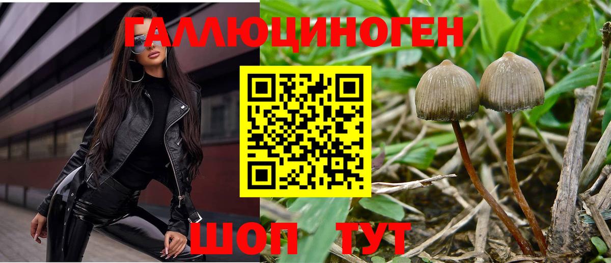 Псилоцибиновые грибы ЛСД  Вход с VPN  купить наркотик  Пятигорск 