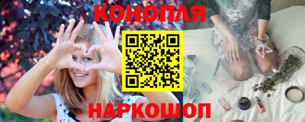 Бошки Шишки сатива  Канабис семена  Вход с VPN  Пятигорск 